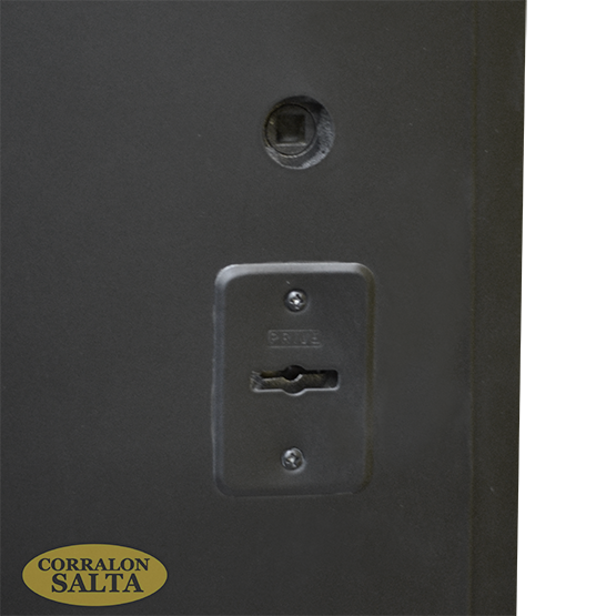 Puerta de Acero Inyectada Mod. S980 - Imagen 5